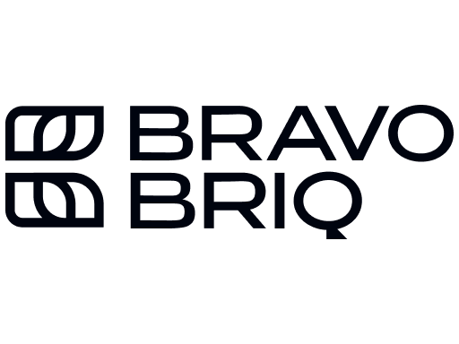 корпоративний стиль bravo briq