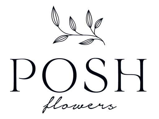 фірмовий стиль posh