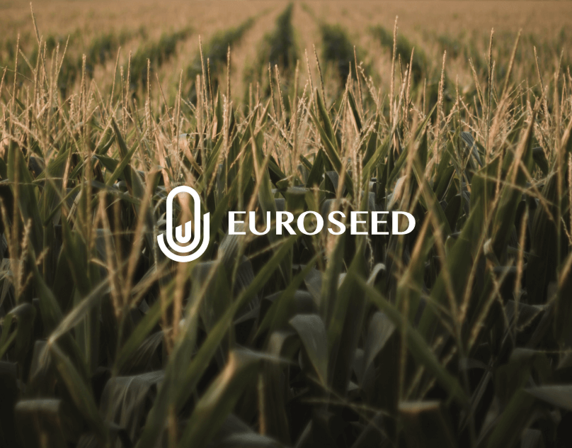 Розробка фірмового стилю для агровиробника «Euroseed» в Україні