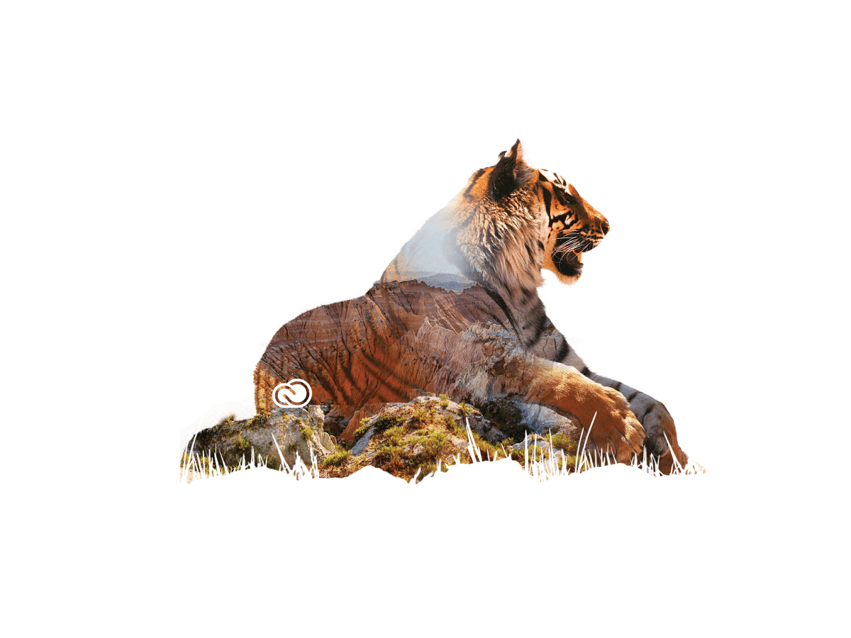 Створення ілюстрацій для проєктів в Україні