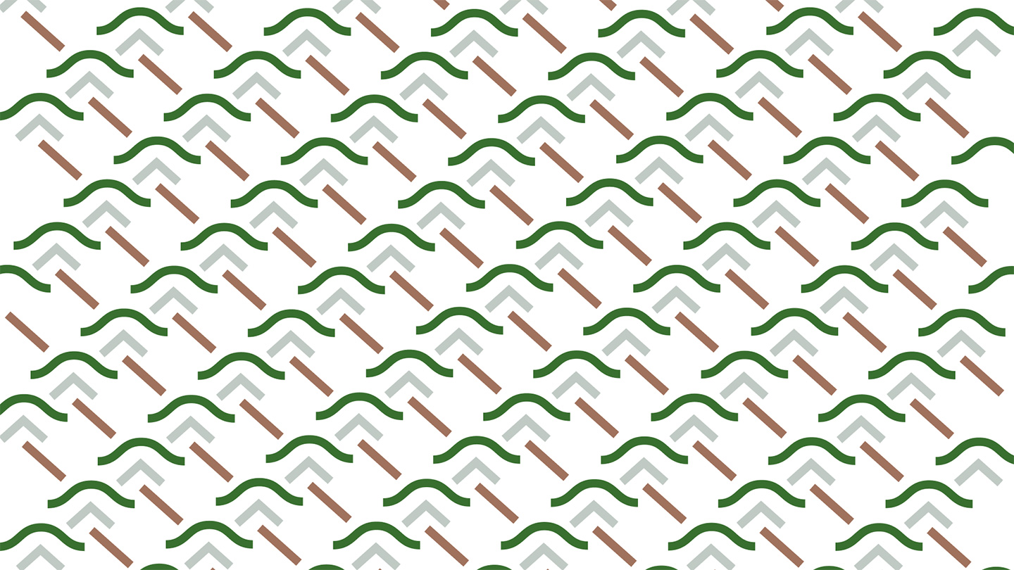 Візуальна айдентика спортивних подій Dzembronia, брендинг спортивних заходів в Україні